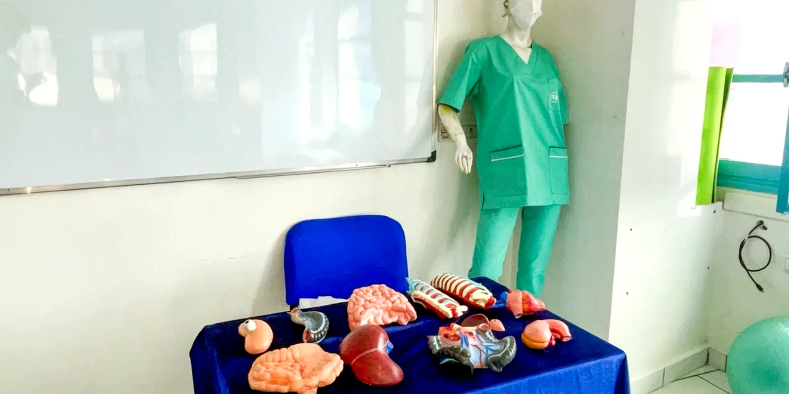 Espace d’anatomie et de démonstration à l’EEMSI